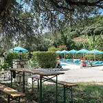 Anemona G *